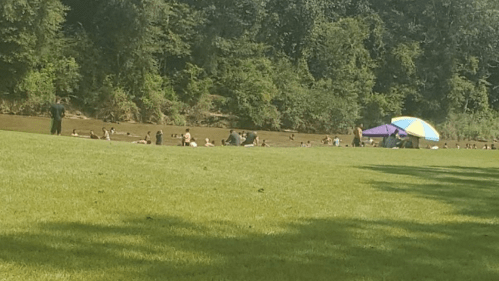 A grassy area by a river with people relaxing and swimming, and a colorful umbrella in the background.