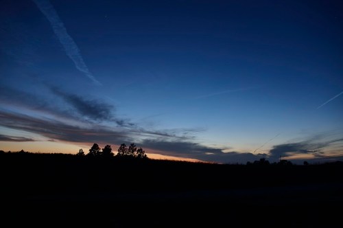 A serene twilight sky with deep blue hues and wispy clouds, silhouetted trees in the foreground.