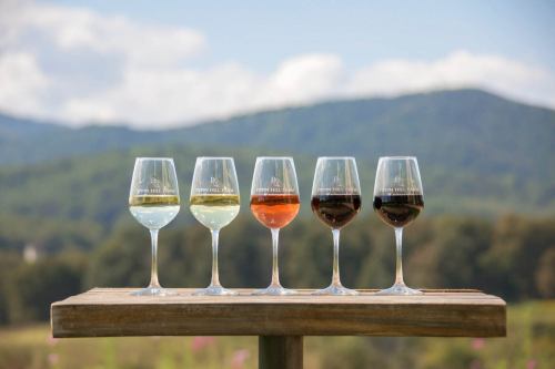 Five wine glasses filled with different wines, set on a wooden table with a scenic mountain backdrop.