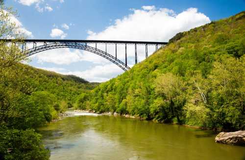 A scenic view of a river surrounded by lush green trees, with a large bridge arching over the landscape under a blue sky.