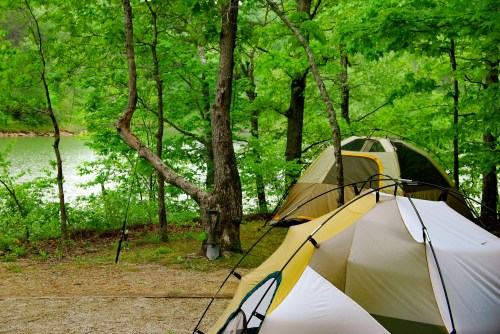 Tents set up near a serene lake, surrounded by lush green trees and a peaceful natural landscape.