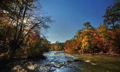 A serene river flows through a forest with vibrant autumn foliage under a clear blue sky. Sunlight glimmers on the water.