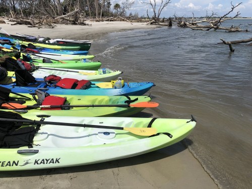 Colorful kayaks lined up on a sandy beach, with trees in the background and calm water lapping at the shore.