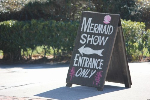 A wooden sign with white lettering directing to the entrance of a mermaid show, featuring a pink shell graphic.