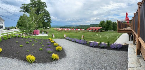 A scenic view of a landscaped garden with lavender, green fields, and a cloudy sky in the background.