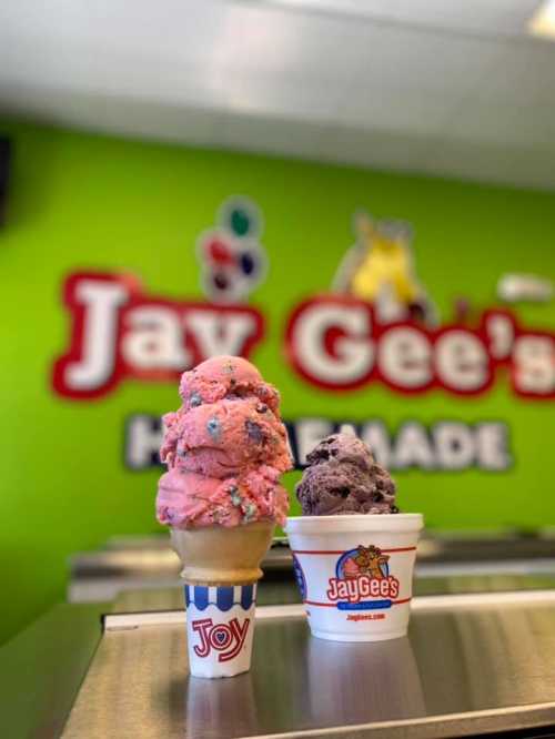 Two ice cream cones in front of a colorful wall with "Jay Gee's Homemade" sign, featuring pink and chocolate flavors.