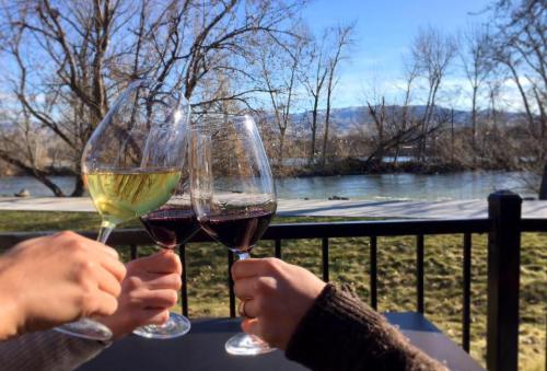 Two hands clink wine glasses, one with white wine and the other with red, against a scenic riverside backdrop.