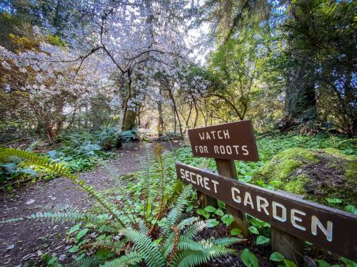 A wooden sign reading "Secret Garden" beside a path in a lush, green forest with ferns and trees.