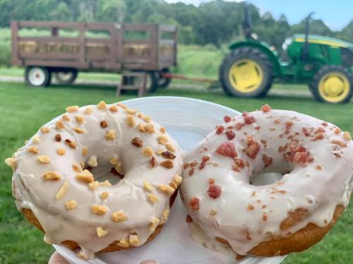 A hand holds two frosted donuts topped with nuts, with a tractor and wagon in the background on a grassy field.