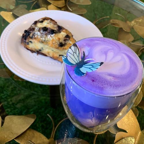 A glass of purple latte with a butterfly decoration next to a plate of blueberry scone on a decorative table.