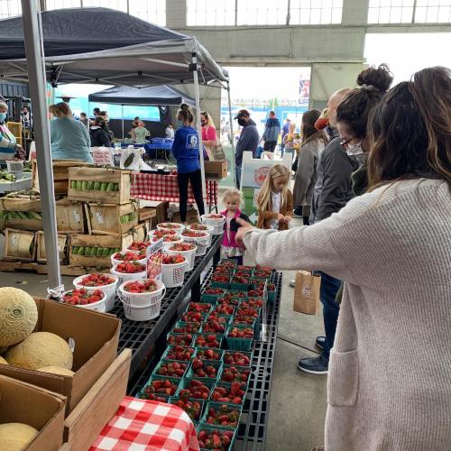A bustling farmers market with people shopping for fresh strawberries and other produce under tents.