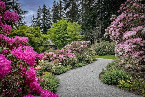 A winding gravel path through a vibrant garden filled with blooming pink and white flowers, surrounded by lush greenery.