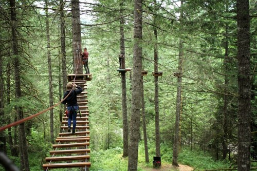 Two people navigate a treetop obstacle course among tall trees in a lush green forest.