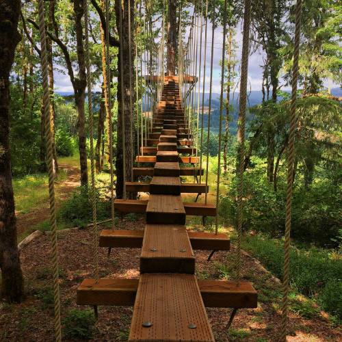 A wooden suspension bridge stretches through a forest, surrounded by trees and a scenic view in the background.