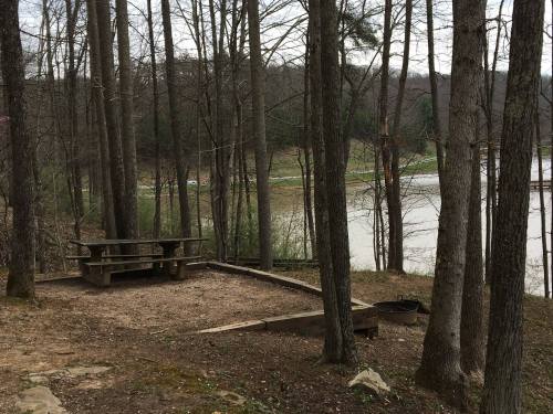 A picnic area with a wooden table and fire pit, surrounded by trees near a lake.