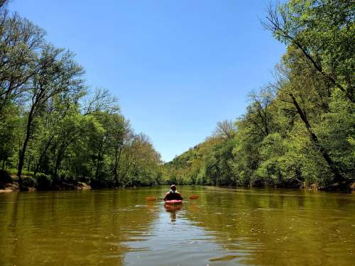A person kayaking on a calm river surrounded by lush green trees under a clear blue sky.