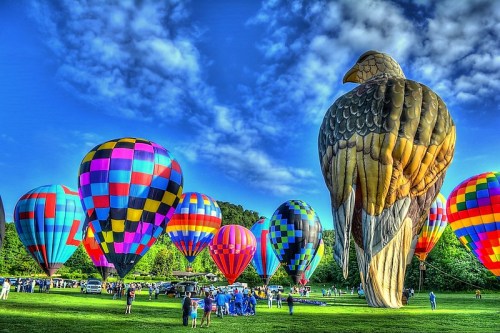 Colorful hot air balloons, including a large eagle-shaped balloon, fill a grassy field under a blue sky.