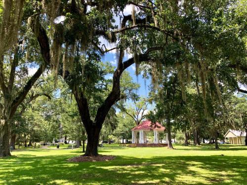 A serene park scene featuring a gazebo surrounded by lush green trees and Spanish moss under a bright blue sky.