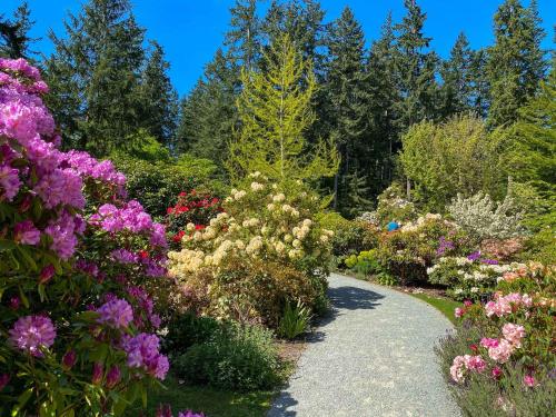 A winding path through a vibrant garden filled with colorful flowers and lush greenery under a clear blue sky.