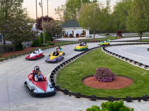 Go-karts racing on a winding track surrounded by greenery and blooming flowers in a recreational area.