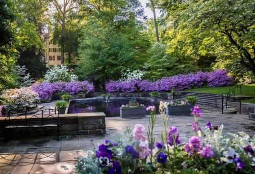 A serene garden with vibrant flowers and lush greenery surrounding a tranquil pond.