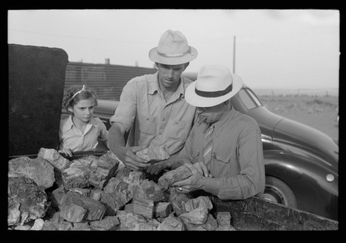 Three people, two men and a girl, examine rocks near a vintage car in a rural setting.