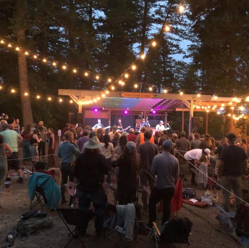 A lively outdoor concert scene with a crowd enjoying music under string lights in a forested area.
