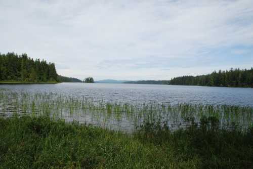 A serene lake surrounded by lush greenery and distant mountains under a cloudy sky.