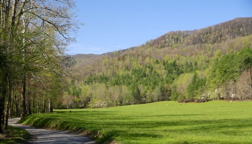 A scenic view of a green field bordered by trees and a winding road, with rolling hills in the background under a clear blue sky.