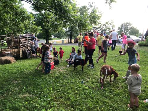 A lively outdoor scene with families and children interacting with goats and a trailer, surrounded by greenery.