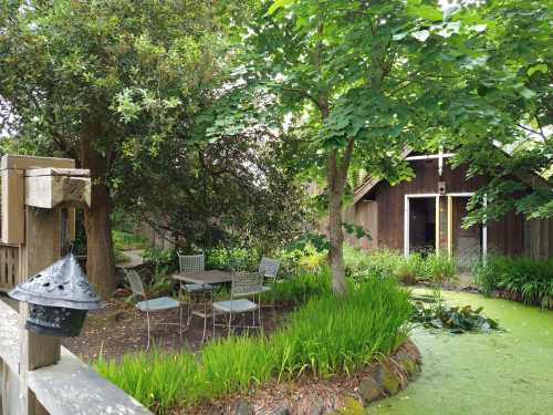 A serene garden scene featuring a small table and chairs surrounded by greenery and a rustic shed in the background.