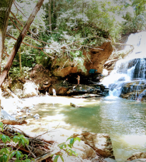 A serene waterfall cascades into a clear pool, surrounded by lush greenery and rocky terrain.