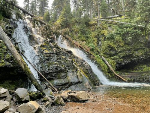 A serene waterfall cascades over rocky terrain, surrounded by lush greenery and tall trees.