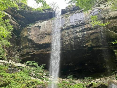 A waterfall cascades down a rocky cliff surrounded by lush greenery and ferns.