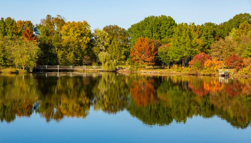 A serene lake reflecting vibrant autumn trees and a clear blue sky, with a wooden dock in the background.