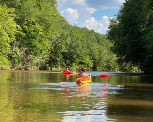 Two people kayaking on a calm river surrounded by lush green trees under a blue sky with fluffy clouds.