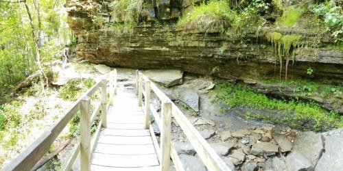 A wooden bridge leads through a lush, green forest with rocky cliffs and moss-covered stones on either side.