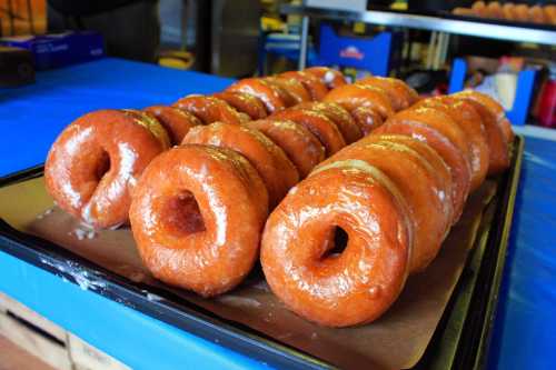 A tray of freshly glazed donuts arranged in a row on a blue table.