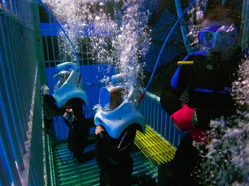 Three divers in underwater helmets explore a submerged cage, surrounded by bubbles and blue lighting.