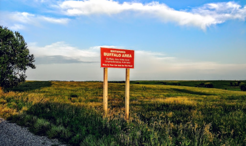 A red sign reading "Entering Buffalo Area" stands on a grassy landscape under a blue sky with scattered clouds.