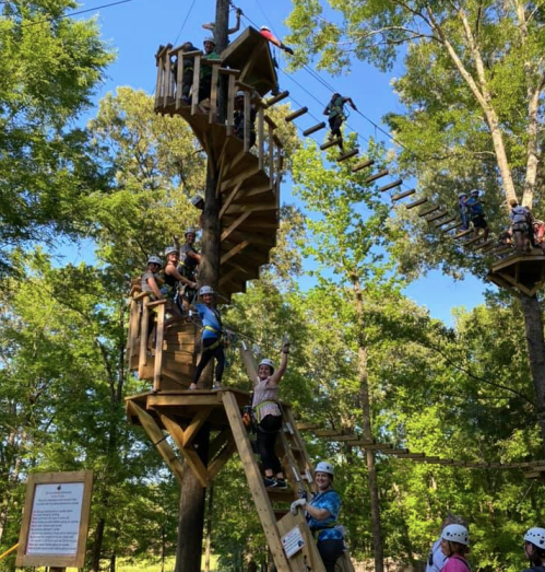 A group of people in helmets enjoying a treetop adventure course with zip lines and climbing structures in a forested area.