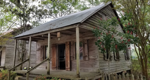 A rustic wooden house with a porch, surrounded by greenery and trees, featuring a corrugated metal roof.