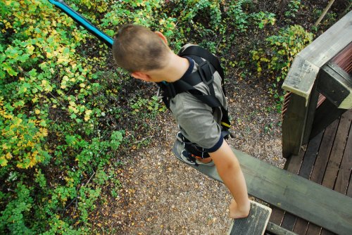 A child prepares to step off a platform in a treetop adventure course, surrounded by greenery.