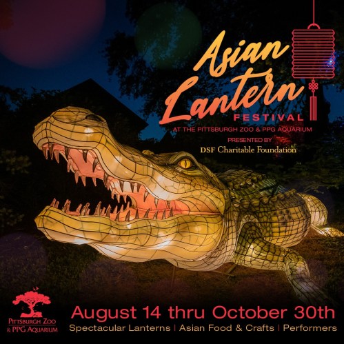 Colorful lantern display featuring a crocodile for the Asian Lantern Festival at the Pittsburgh Zoo, August 14 - October 30.