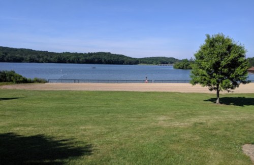 A serene lake view with green grass, trees, and a sandy beach under a clear blue sky.