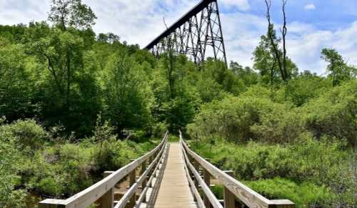 A wooden bridge leads through lush greenery, with a tall trestle bridge visible in the background under a blue sky.