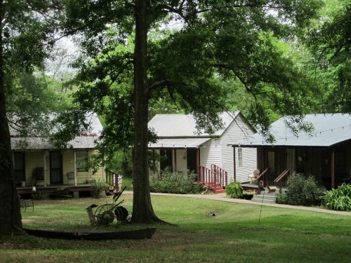 A peaceful scene of small, charming houses surrounded by lush greenery and trees.