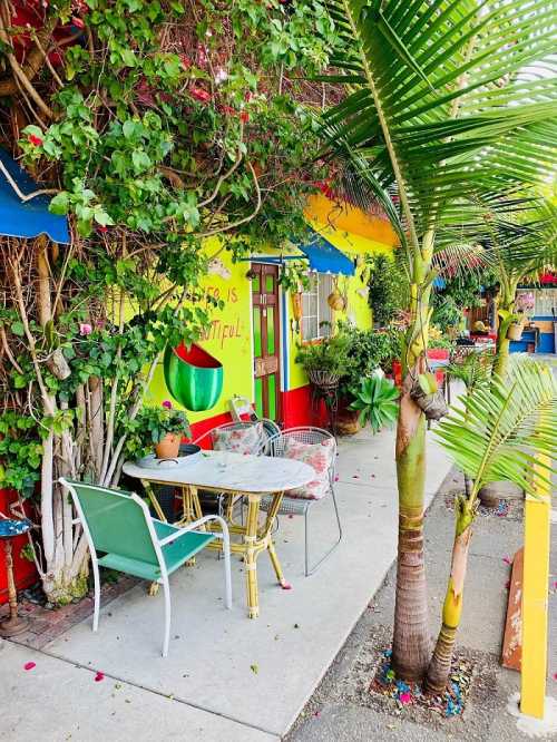 Colorful outdoor seating area with a table, chairs, and lush greenery against a vibrant wall.