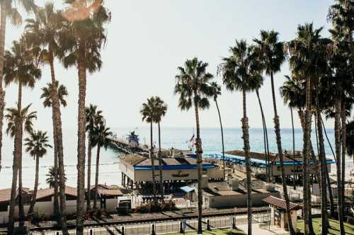 A sunny beach scene featuring a pier surrounded by palm trees and calm ocean waters.