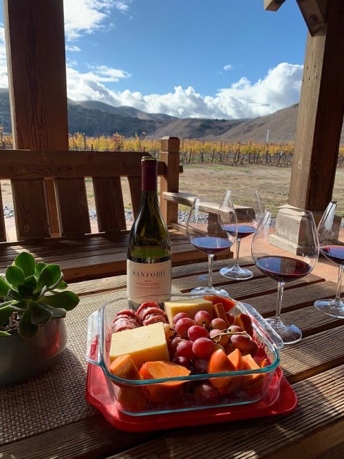 A picnic table with a wine bottle, glasses, and a colorful fruit and cheese platter, set against a vineyard backdrop.